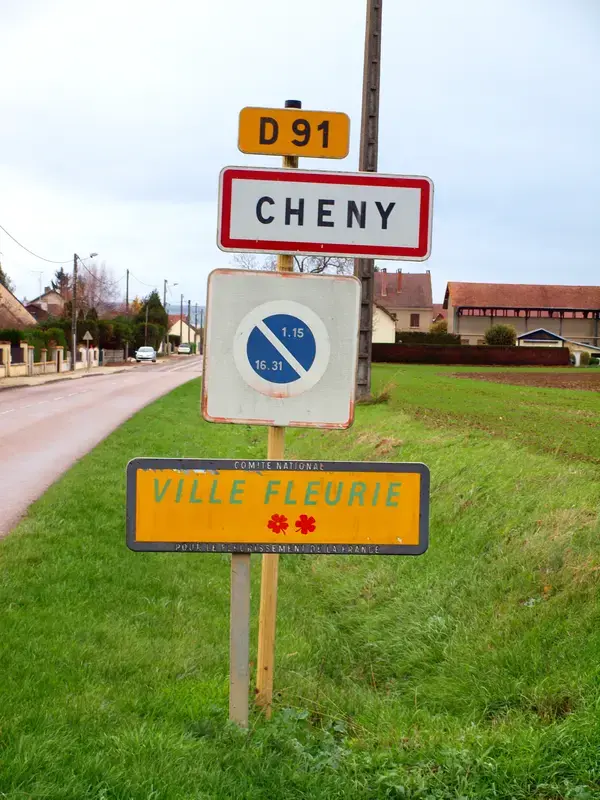 Monte Escalier 89 Installateur Monte Escalier Cheny